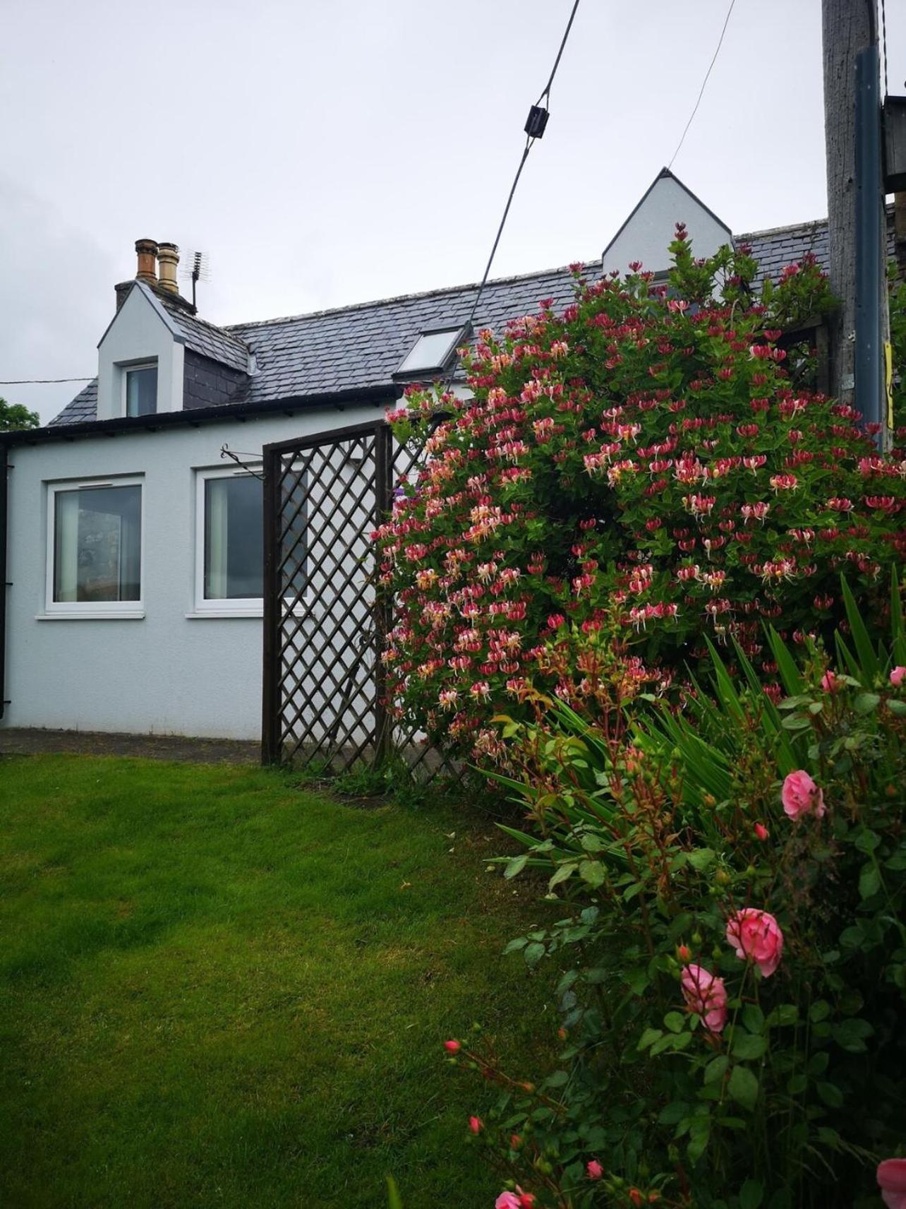 Mike'S 3-Bedroom Countryside Cottage 阿尔内斯 外观 照片